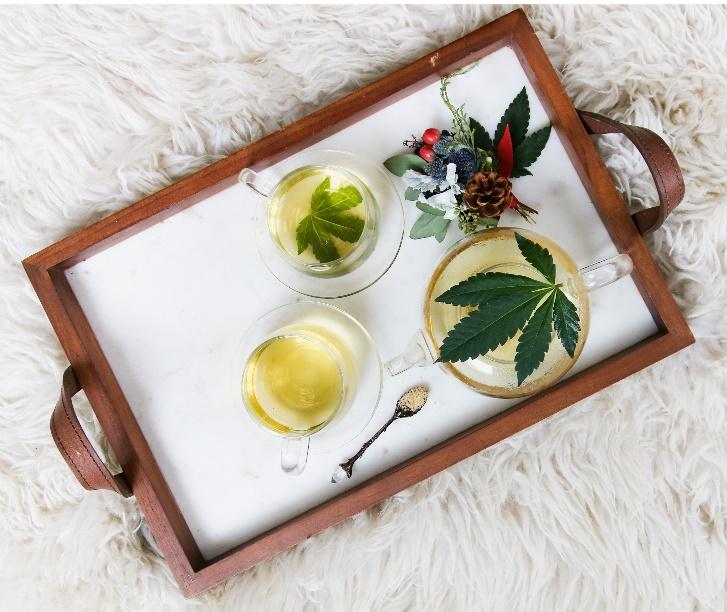 Cannabis leaves
