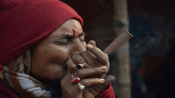 Cannabis bhang