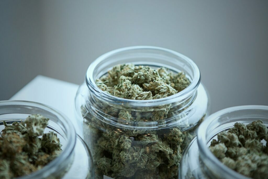 How to Store Dried Cannabis Properly