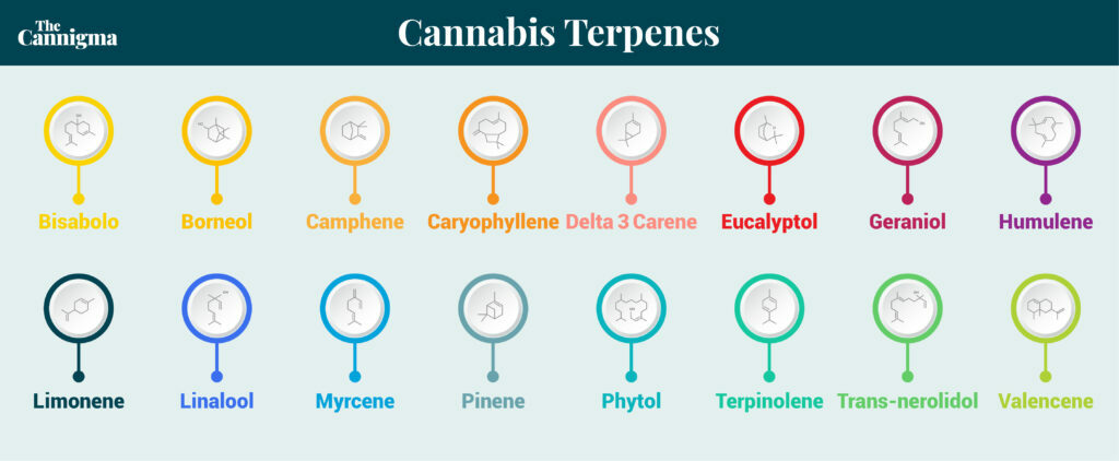 cannabis Terpene