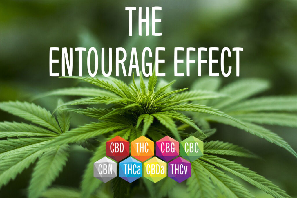 entourage-effect