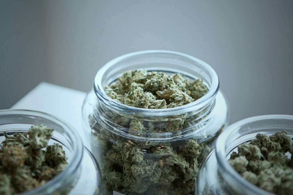 get budding