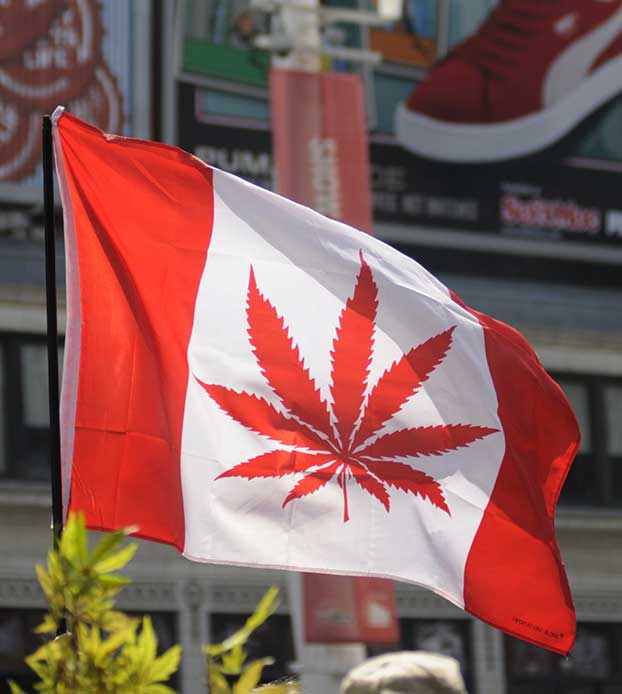 A Canadian flag with a cannabis leaf
