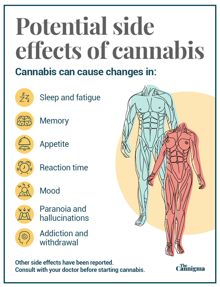 Cannabis side effects: fatigue, memory, appetite, reaction time, mood, paranoia, addiction