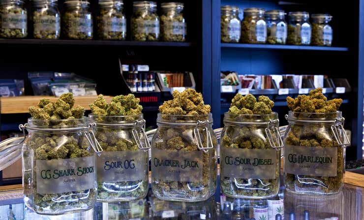 Jars of medical marijuana in a dispensary. (Shutterstock)