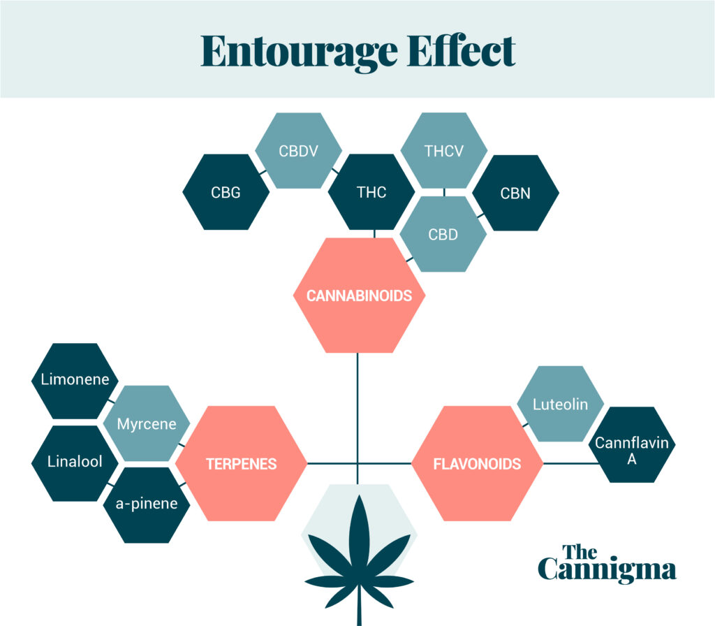 The Entourage Effect