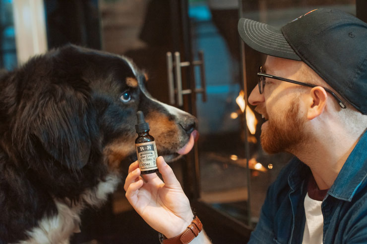 CBD tincture with dog