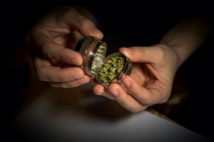 Use um triturador de mão ou moedor de café para triturar a erva na hora de produzir sua tintura de cannabis.