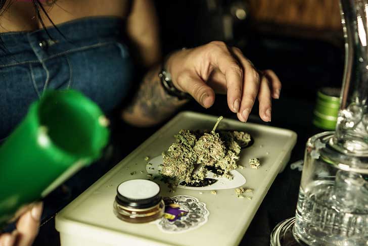 Exposure to cannabis can cause allergies