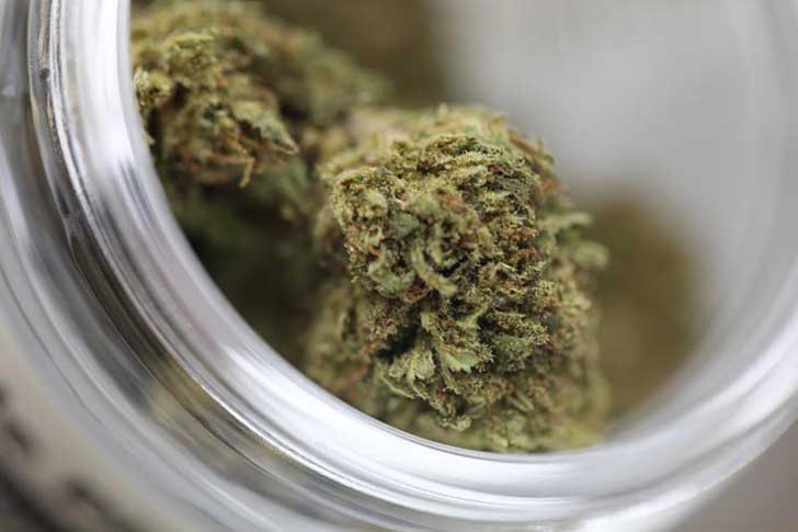 Medical marijuana in a jar