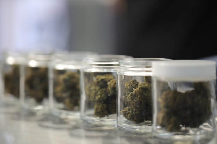 Cannabis being prepared for distribution to dispensarie