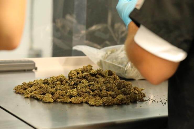 Processing cannabis flower