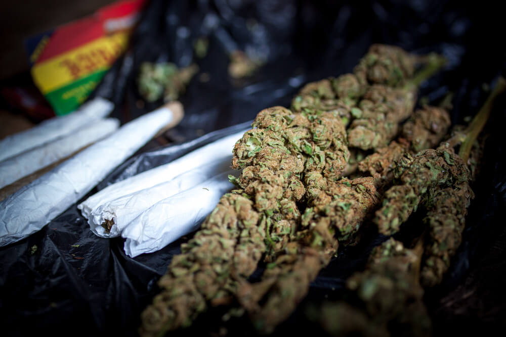 joints and flower jamaica