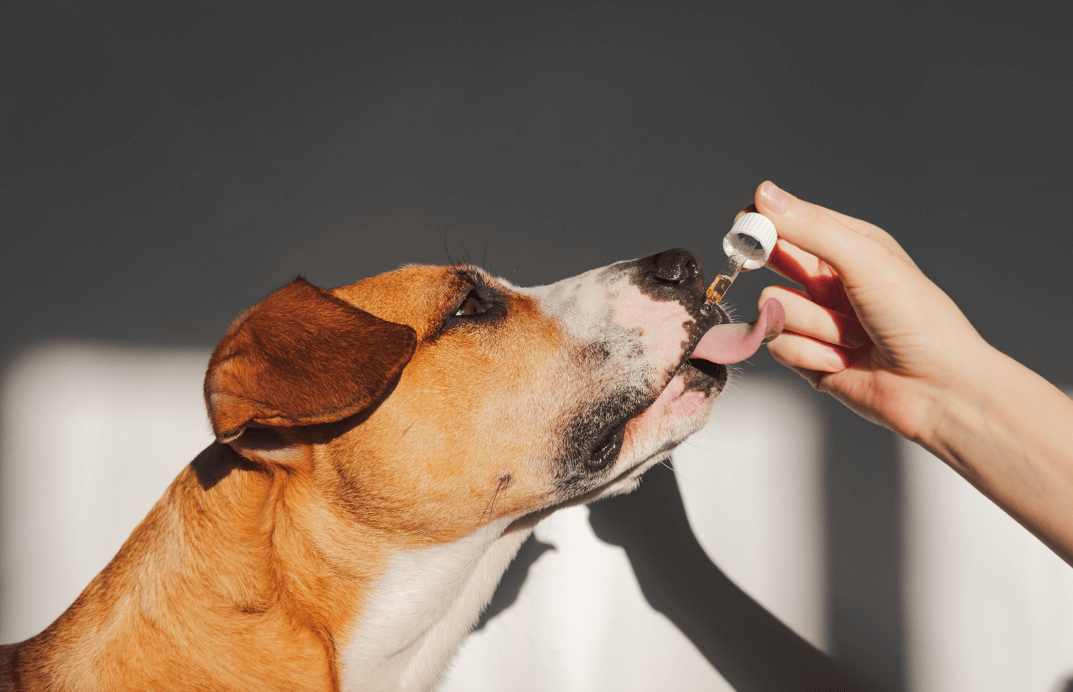 There’s a lot of ethical issues involved in animal testing