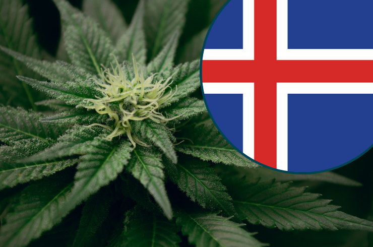 Is Weed Legal in Iceland? 2025 Marijuana Laws | The Cannigma