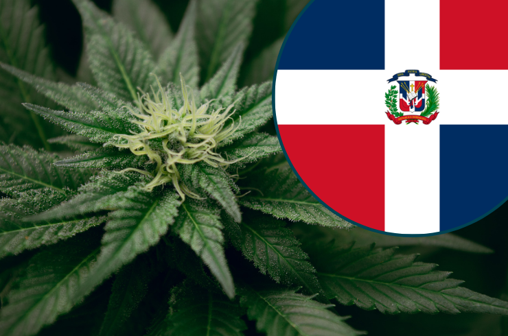 Is Weed Legal in the Dominican Republic? 2026 Marijuana Laws