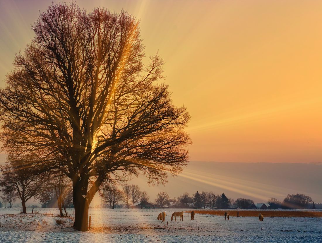 Is Weed Legal In Panama The Cannigma Is Weed Legal In Panama The Cannigma