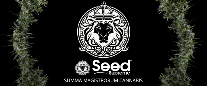 seed supreme