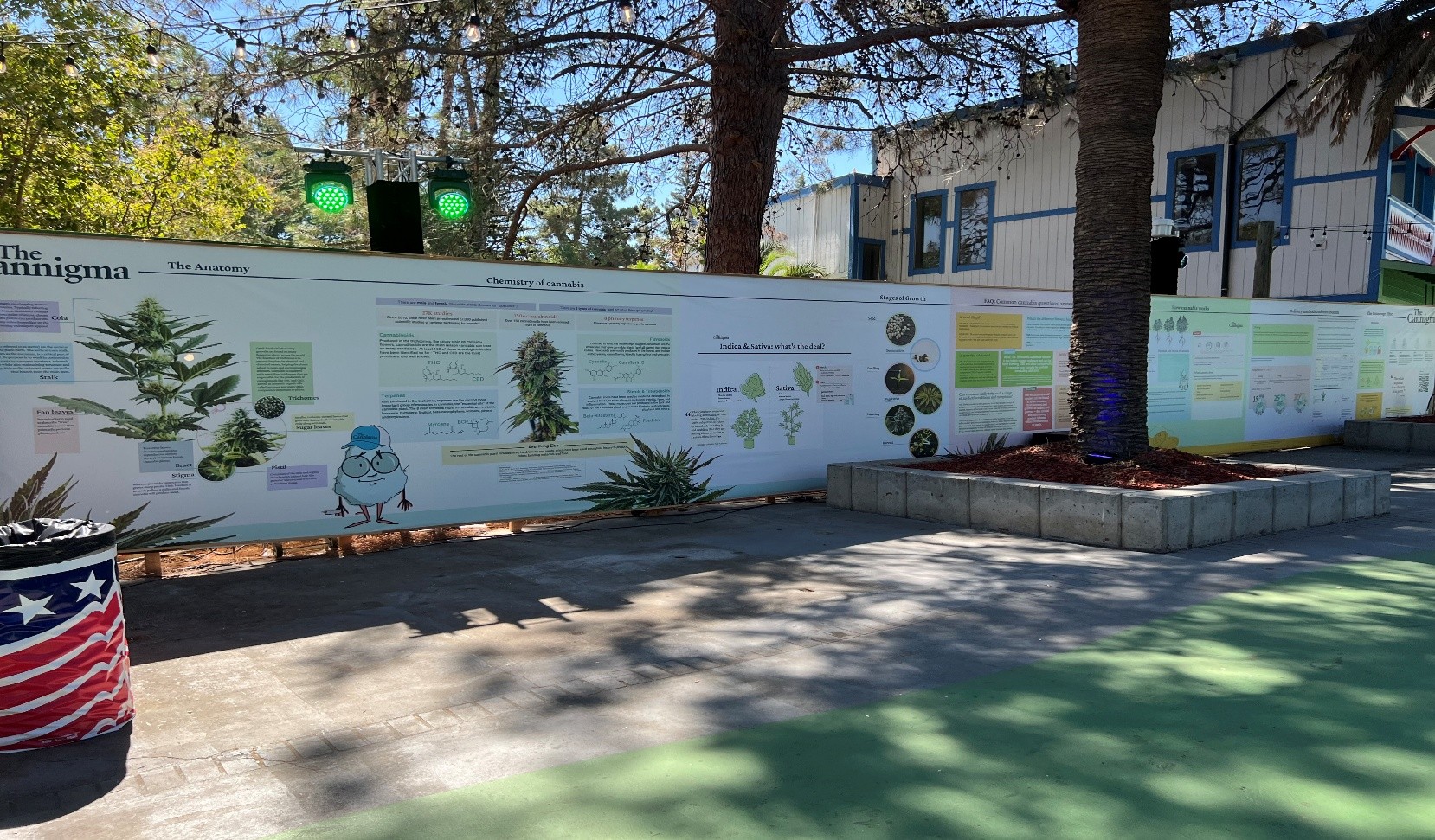 Cannigma Science and Education wall