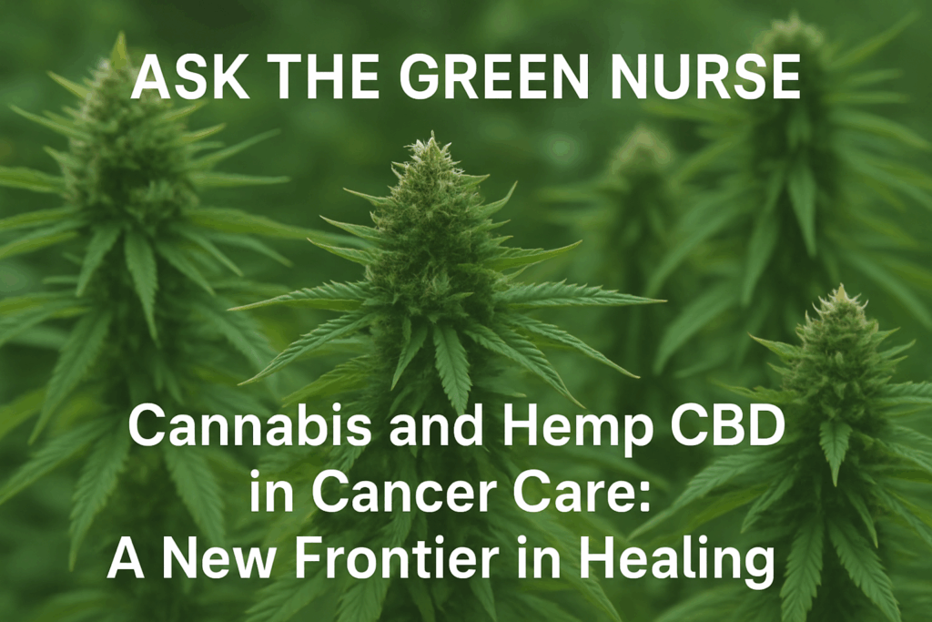 Cannabis and Hemp CBD in Cancer Care: A New Frontier in Healing