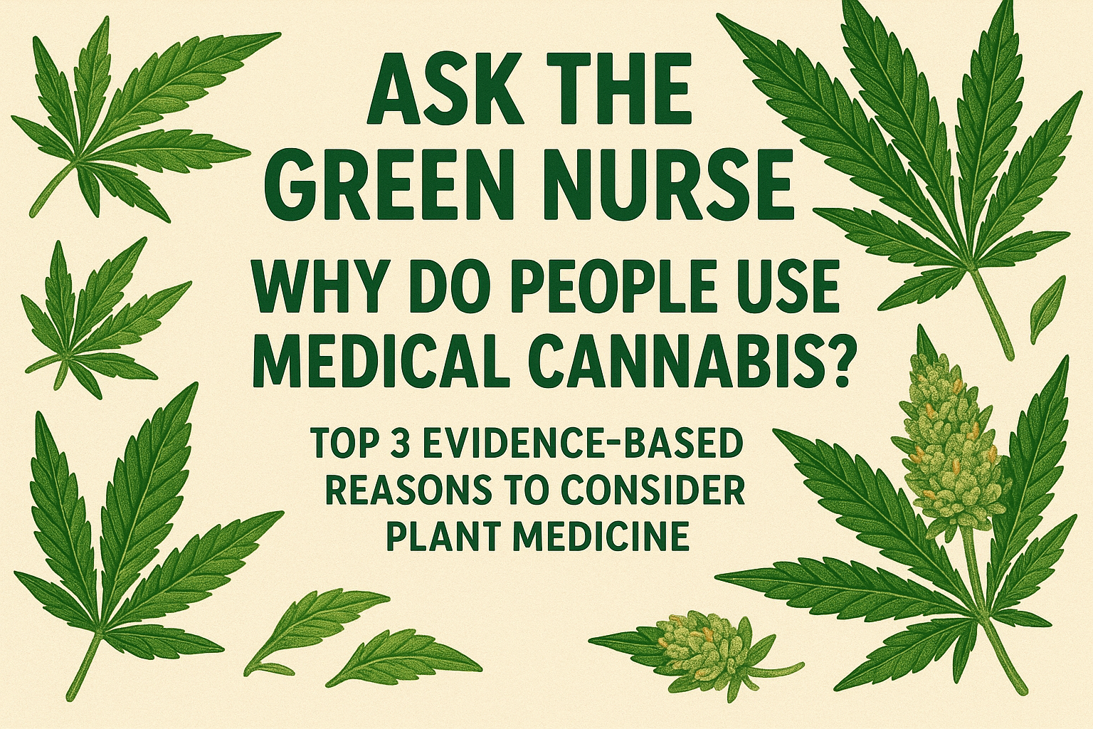 The 5 Best Cannabis Lubes For 2025 The Cannigma The 5 Best Cannabis Lubes For 2025 The Cannigma