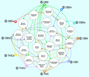 Cannabinoids in Context
