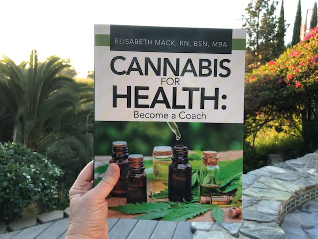 2 CannabisBook