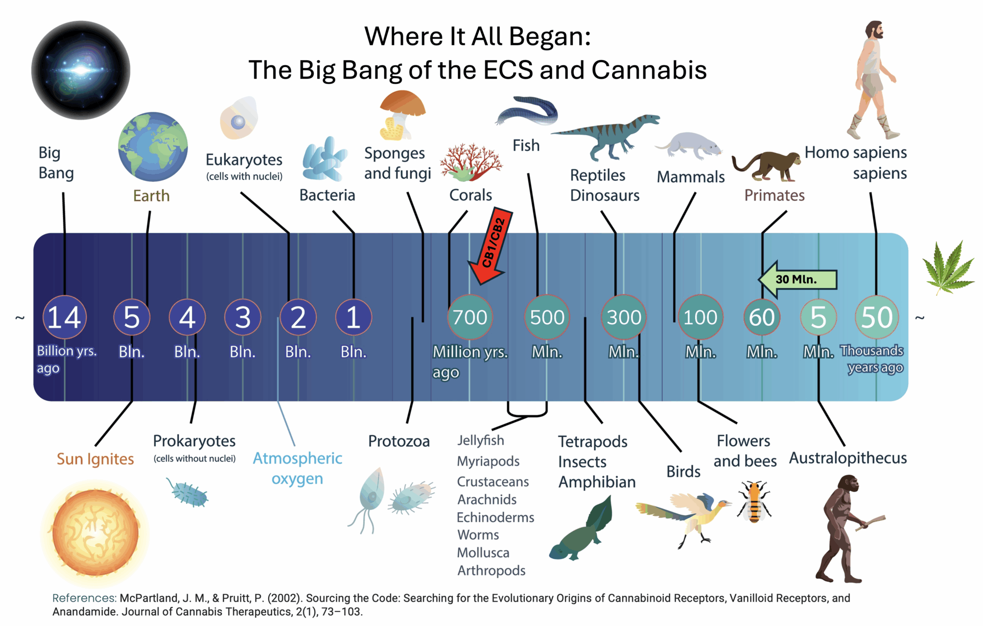 Endocannabinoid Medicine: 11 Keys to Deeper Healing