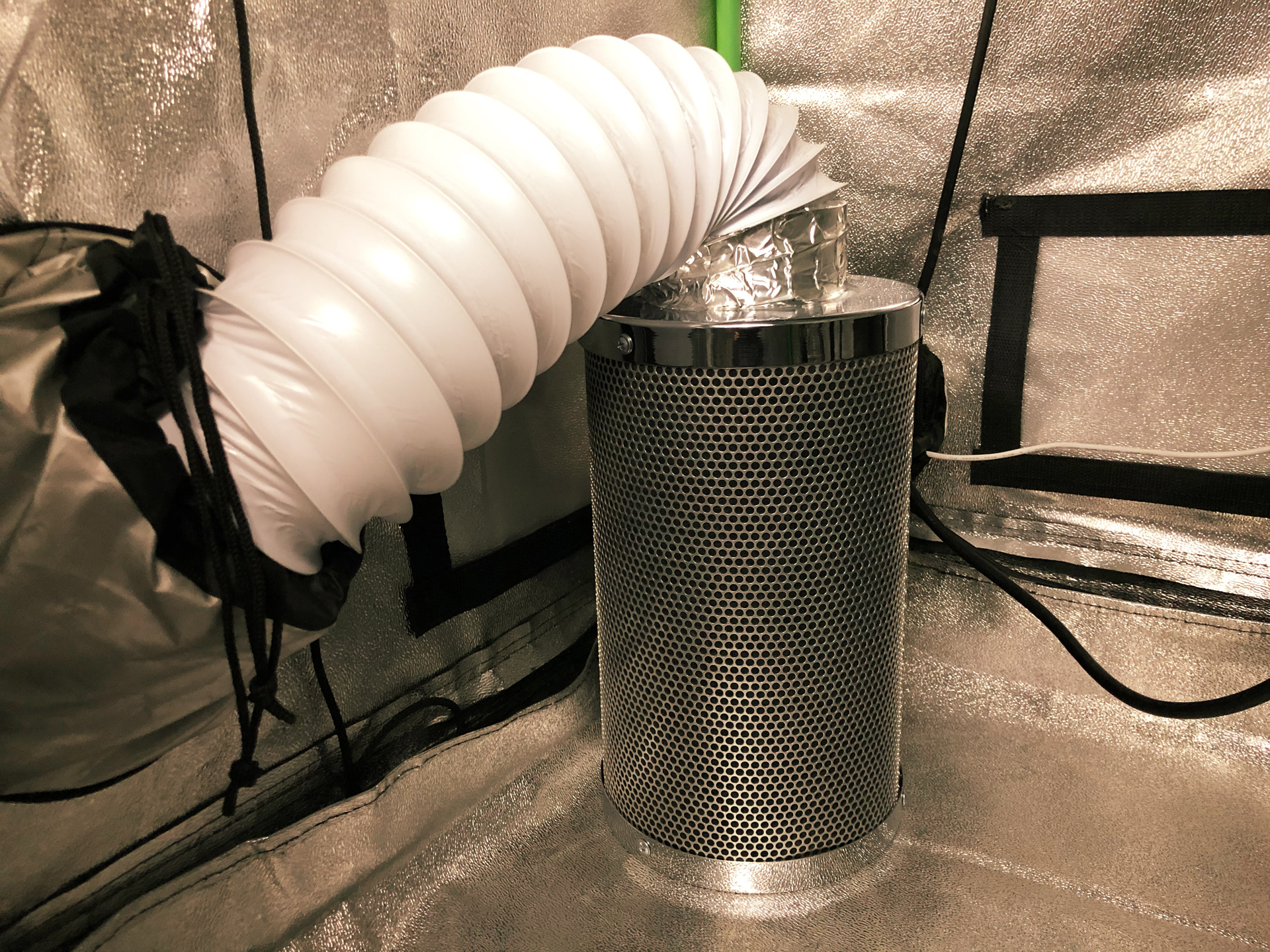 Indoor cannabis setups rely on fans and ventilation systems to maintain a healthy growing environment.
