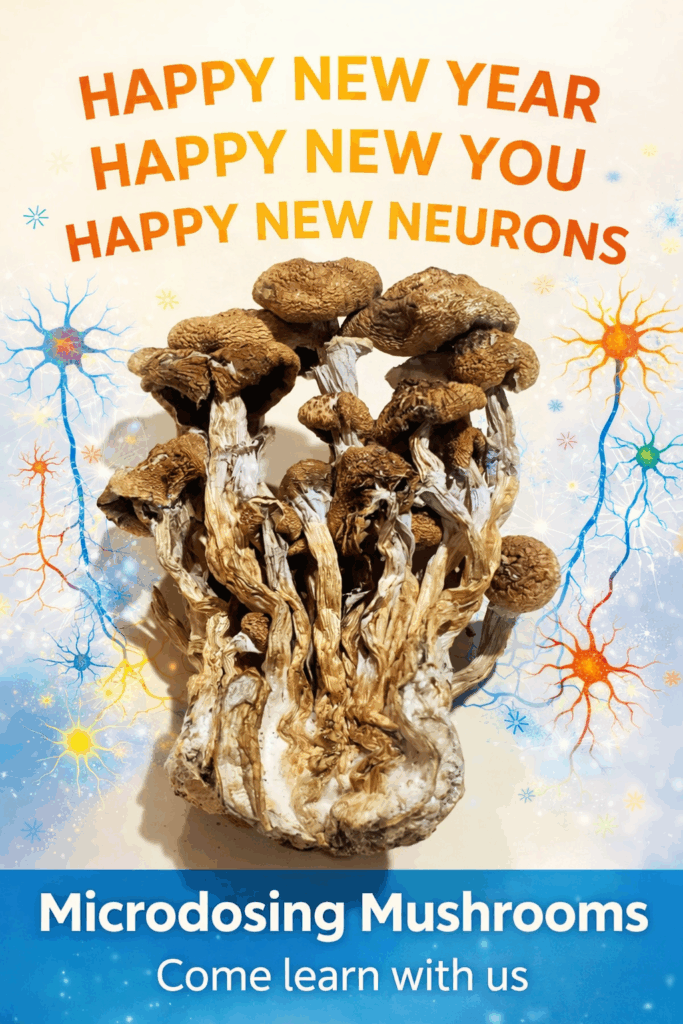 Microdosing mushrooms