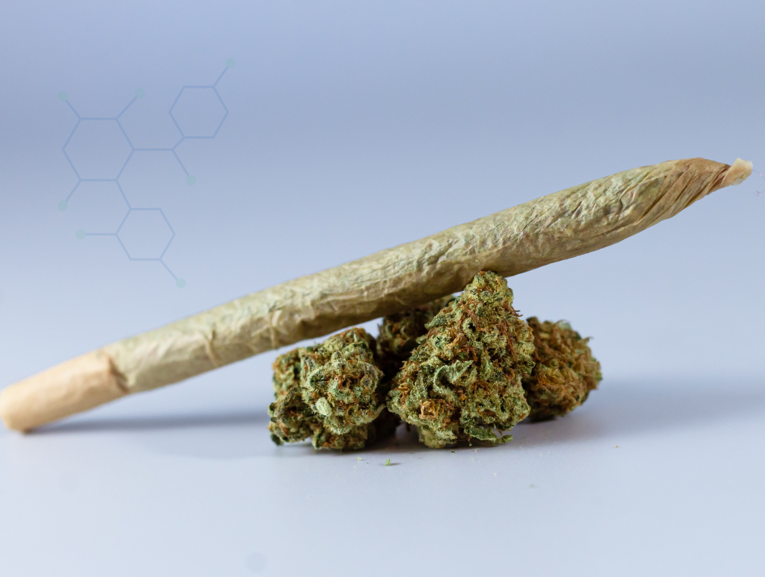 photo of Cannabis Strains and Products Trending in 2026: What the Sales Data Shows image