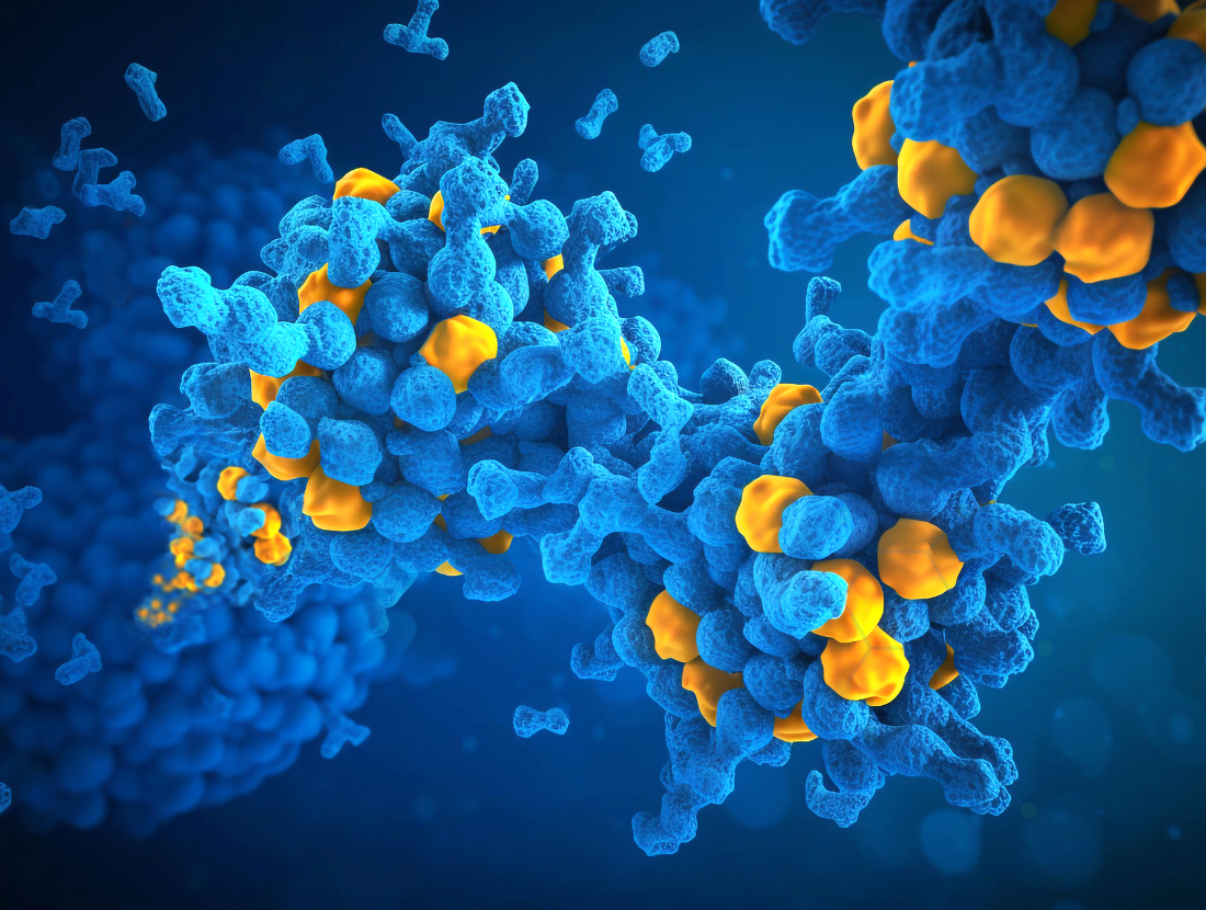 Where Two Brain Systems Meet: The Neuroscience of How LSD&hellip;