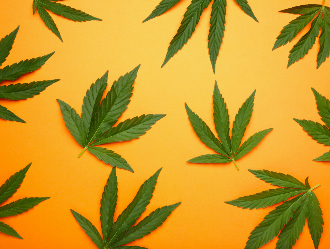 Low-Dose Cannabis for Social Settings: Dosing, Formats, and&hellip;