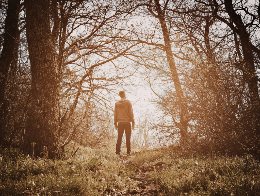 photo of Cannabis and Mood: How Sunshine, Nature, and Cannabinoids May Boost Your Mental State image