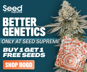 Seed Supreme - Better genetics, Buy One Get One Free seeds