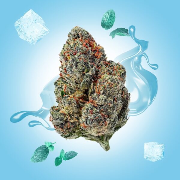 Gelato THCa Flower