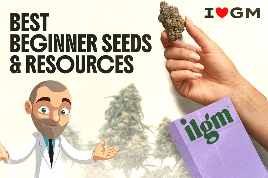 Best beginner seeds and resources