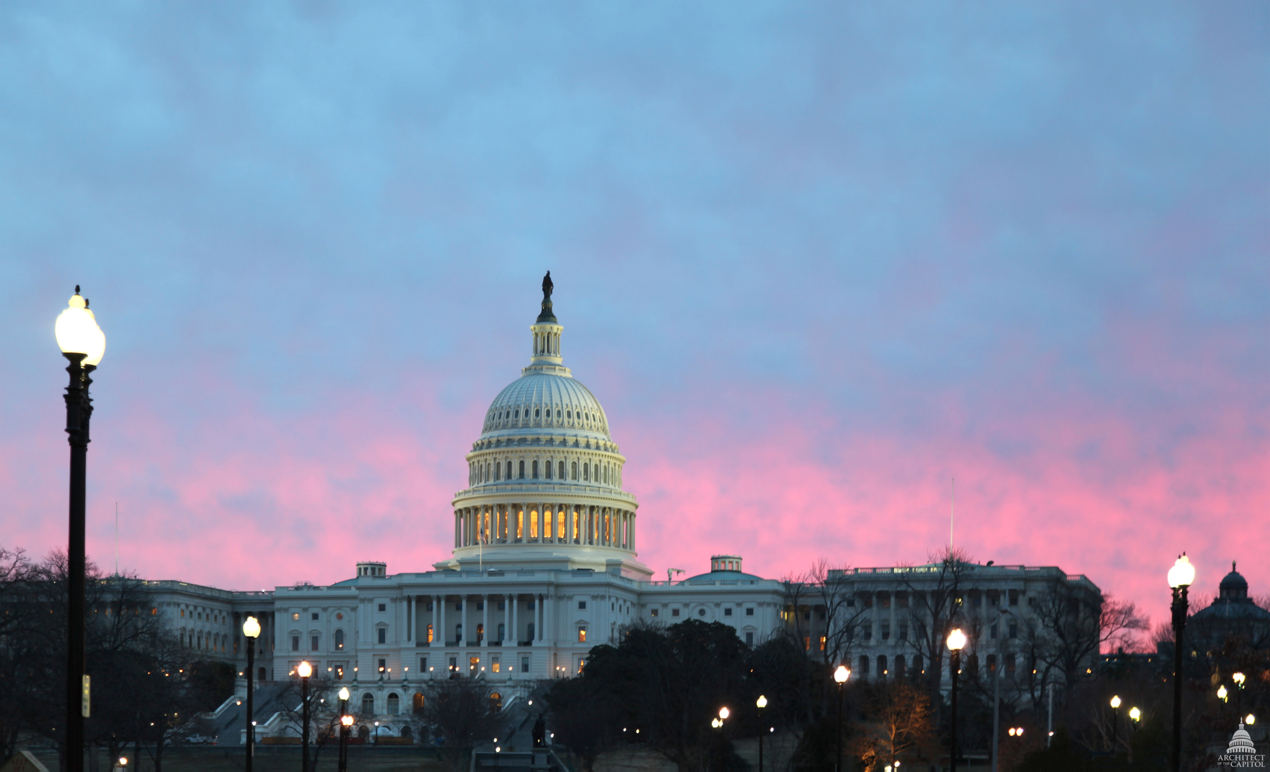 The dome of the United States Capitol against a pink dawn sky in Washington, DC